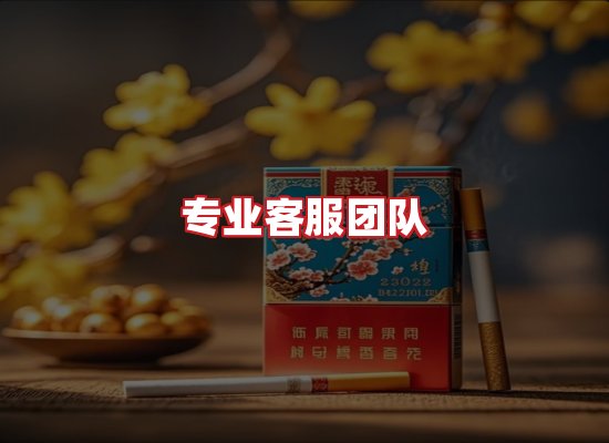 专业团队